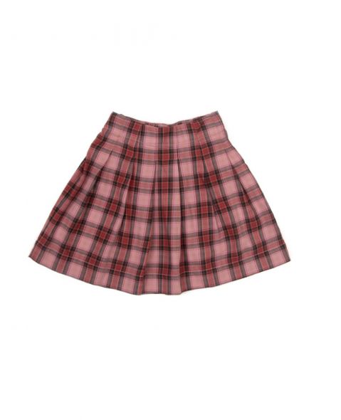 23220 pleated skirt limited (Archive item).