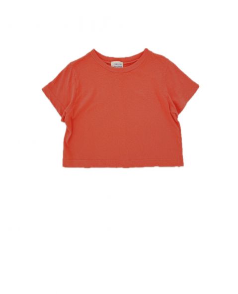 25114 cropped tee