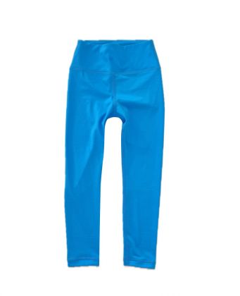 25121 shiny legging